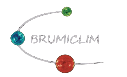 Brumi_Logo_Old