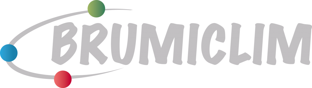 Brumi_New